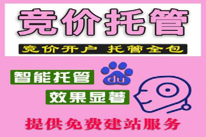 XX行业竞价广告的投放策略与效果分析